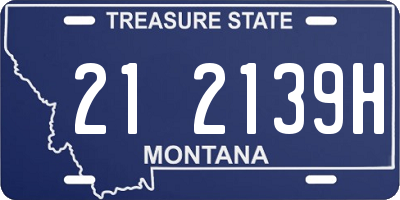 MT license plate 212139H