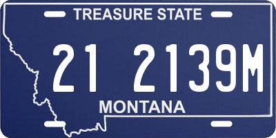MT license plate 212139M