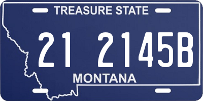 MT license plate 212145B
