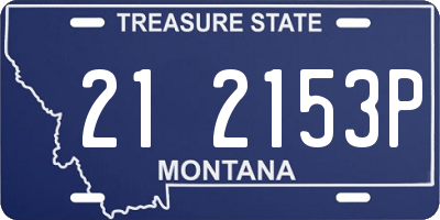 MT license plate 212153P