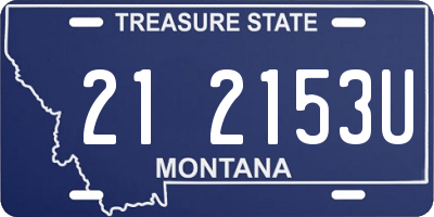 MT license plate 212153U