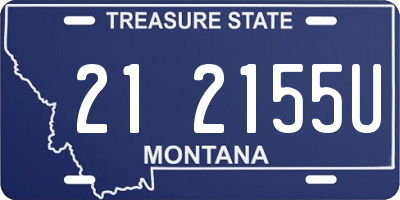 MT license plate 212155U