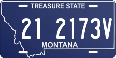 MT license plate 212173V