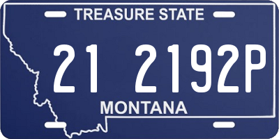MT license plate 212192P