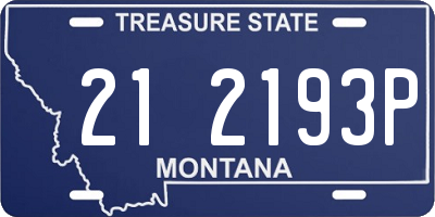 MT license plate 212193P