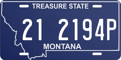 MT license plate 212194P