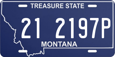 MT license plate 212197P