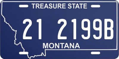 MT license plate 212199B