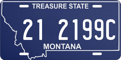 MT license plate 212199C