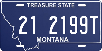 MT license plate 212199T