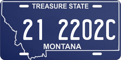 MT license plate 212202C