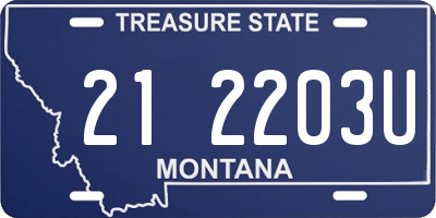 MT license plate 212203U