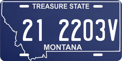MT license plate 212203V