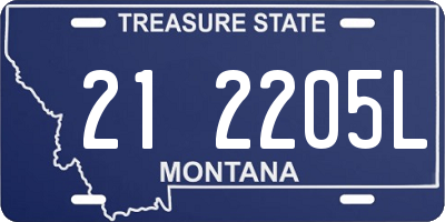 MT license plate 212205L
