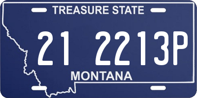 MT license plate 212213P