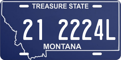 MT license plate 212224L