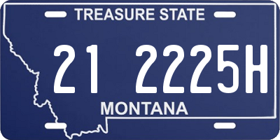 MT license plate 212225H