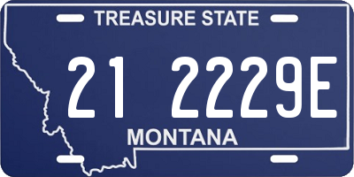 MT license plate 212229E