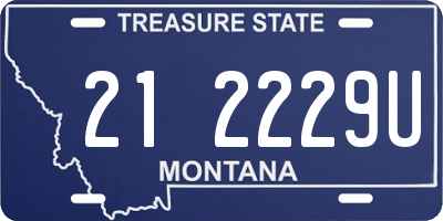 MT license plate 212229U