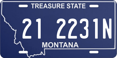 MT license plate 212231N