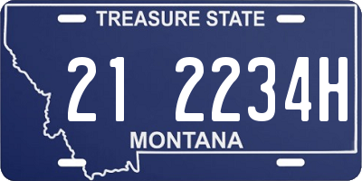 MT license plate 212234H