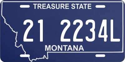 MT license plate 212234L