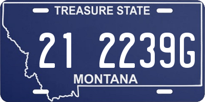 MT license plate 212239G