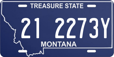 MT license plate 212273Y
