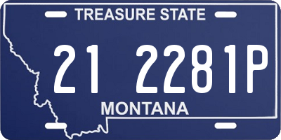 MT license plate 212281P