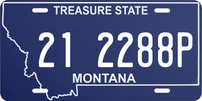 MT license plate 212288P