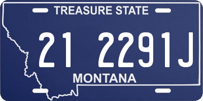 MT license plate 212291J