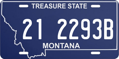 MT license plate 212293B