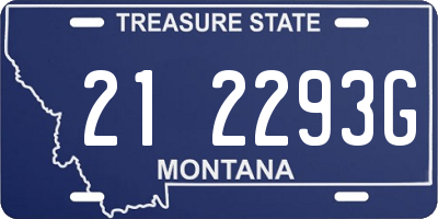 MT license plate 212293G