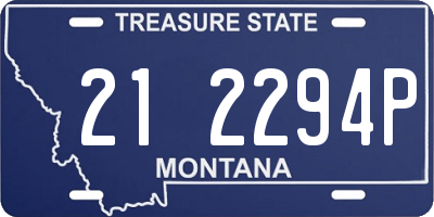 MT license plate 212294P