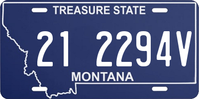 MT license plate 212294V