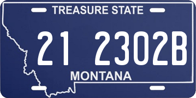 MT license plate 212302B