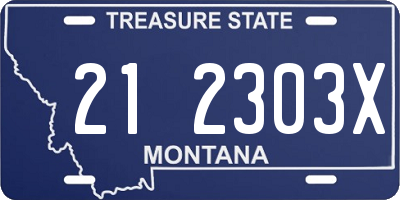 MT license plate 212303X