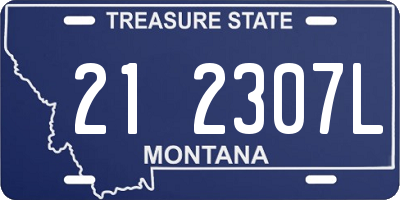 MT license plate 212307L