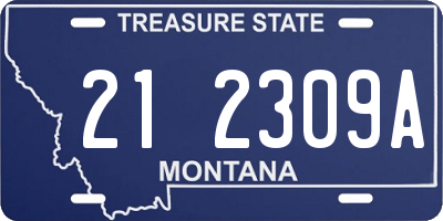 MT license plate 212309A