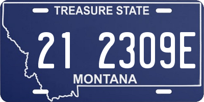 MT license plate 212309E