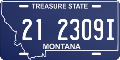 MT license plate 212309I
