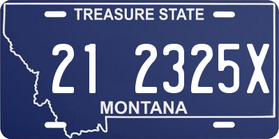 MT license plate 212325X