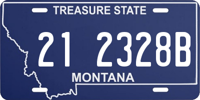 MT license plate 212328B
