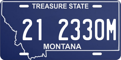 MT license plate 212330M