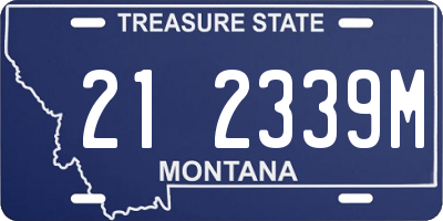 MT license plate 212339M