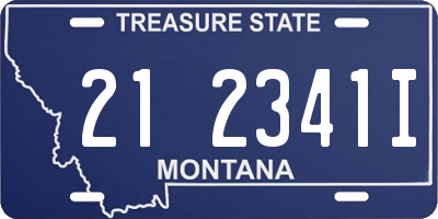MT license plate 212341I