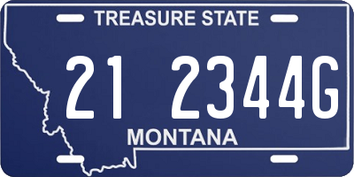 MT license plate 212344G