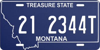 MT license plate 212344T