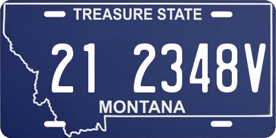 MT license plate 212348V