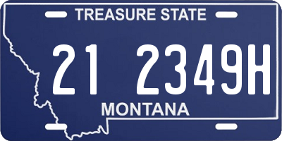 MT license plate 212349H
